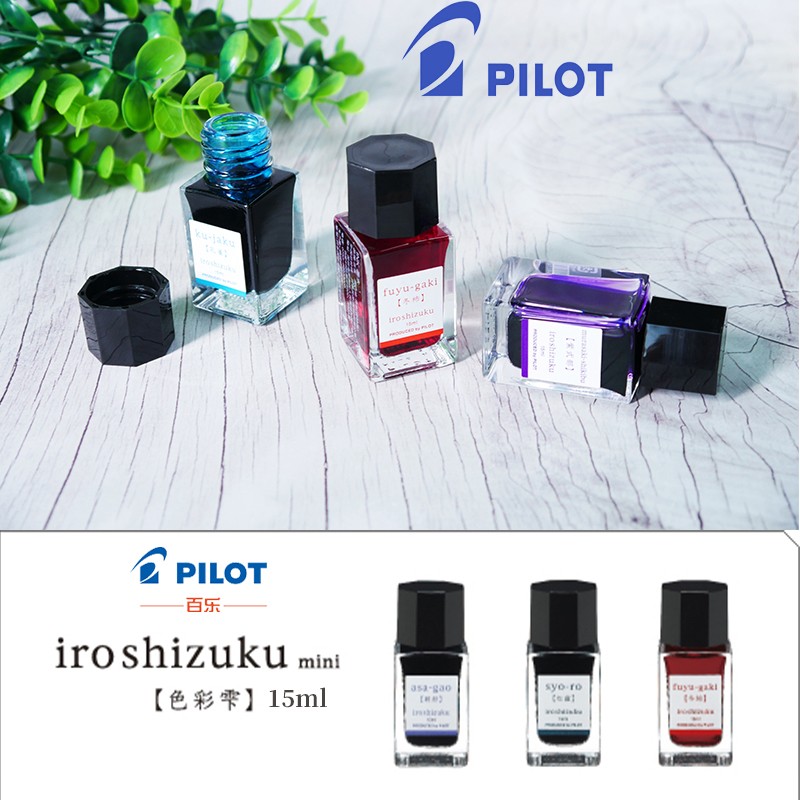 Fountain Pen Bottled Ink - Inkt voor Vulpen 15 ml Kleurstof